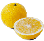 MARSH SEEDLESS GRAPEFRUIT